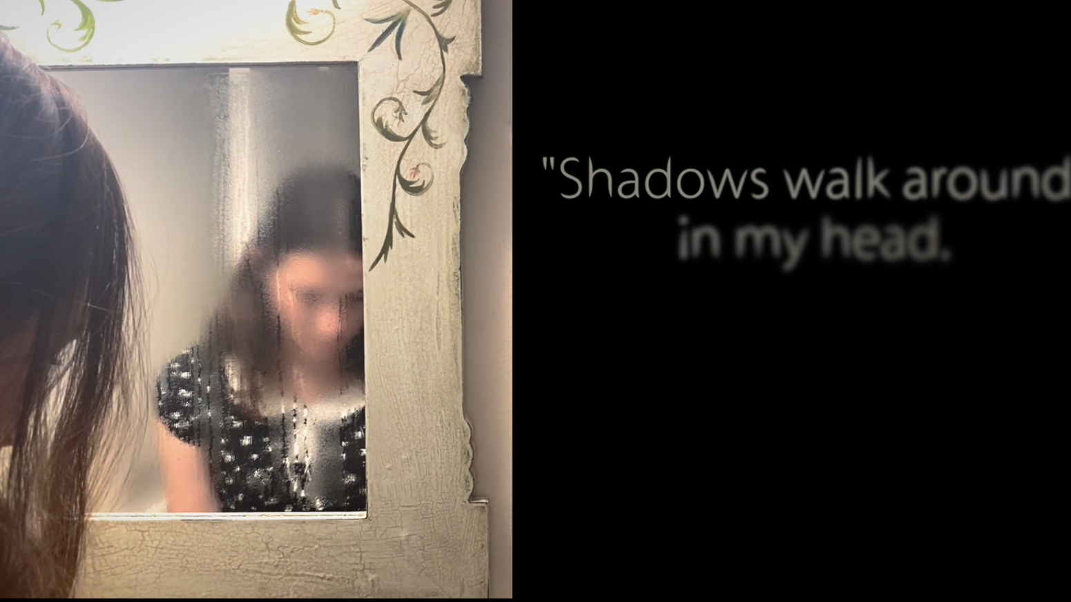 WE HAVE SHADOWS TOO BOOK TRAILER